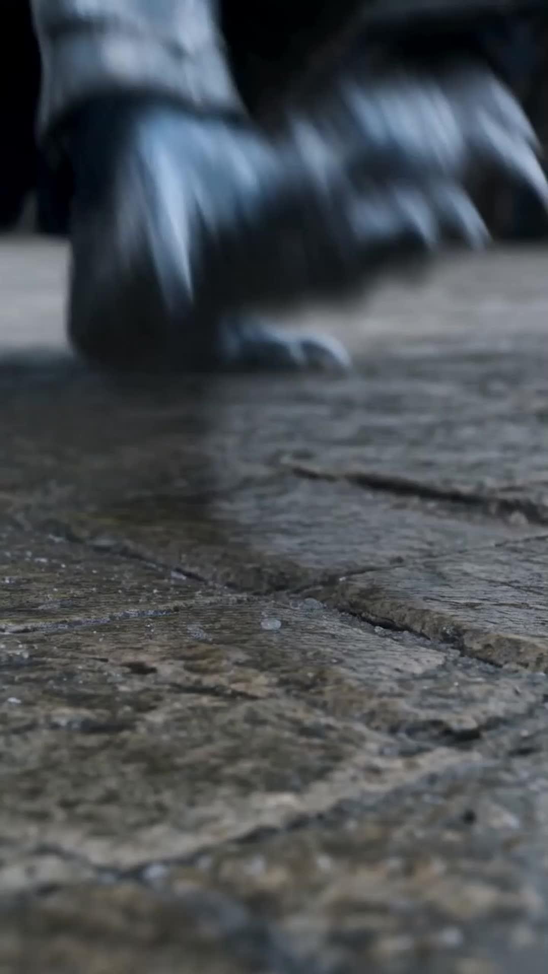 Episode 2