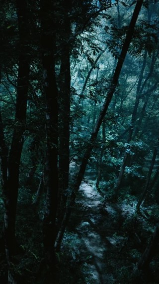 ตอนที่ 14