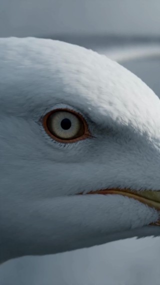 Episode 29