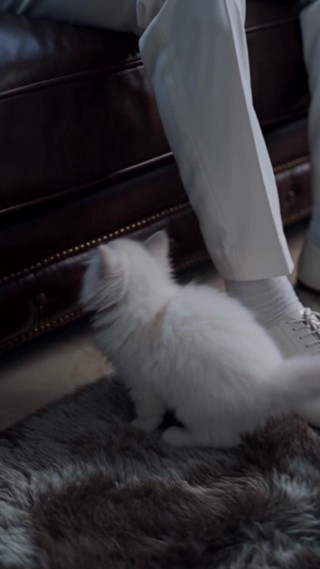 Épisode 9