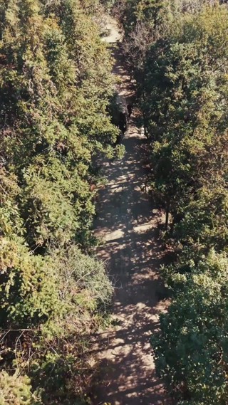 حلقة 6