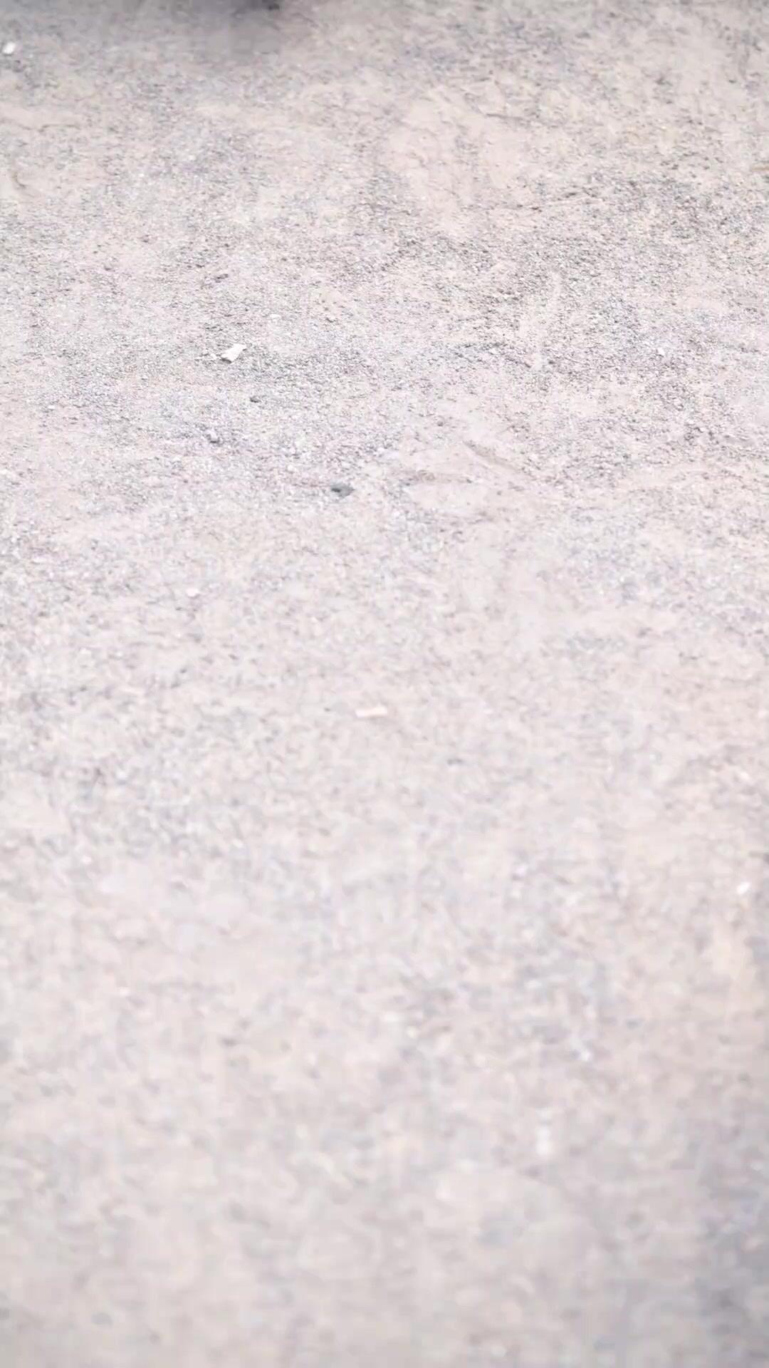 حلقة 2