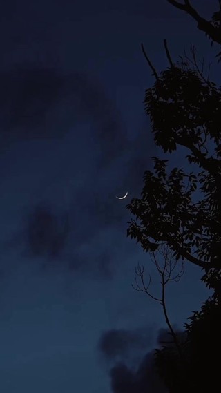 Episódio 14