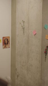 Bölüm 19