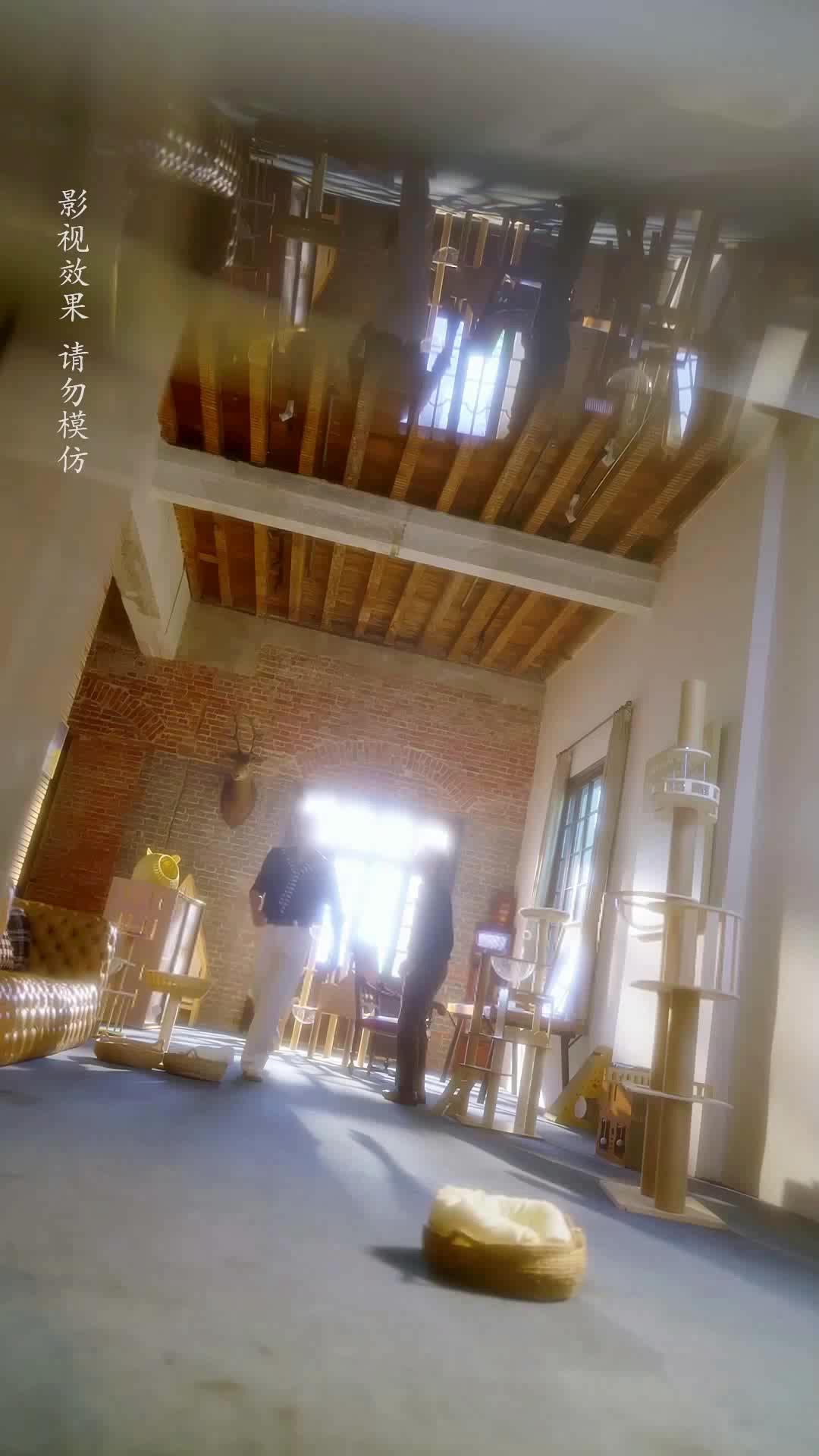 話 6