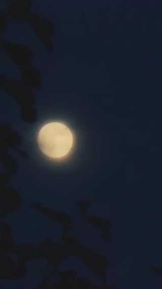Episod 4