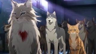 Episode 22