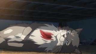 Episode 15