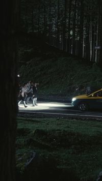 Épisode 11