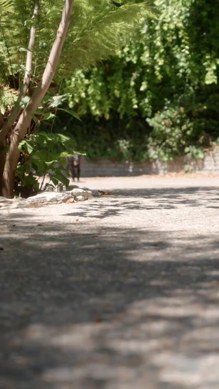 حلقة 10