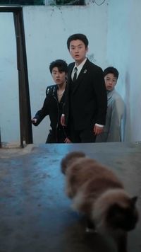 Episodio 8