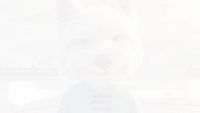 Tập 29