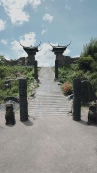 Episode 29