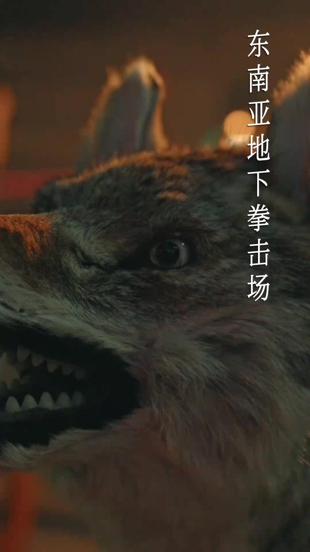 Épisode 1