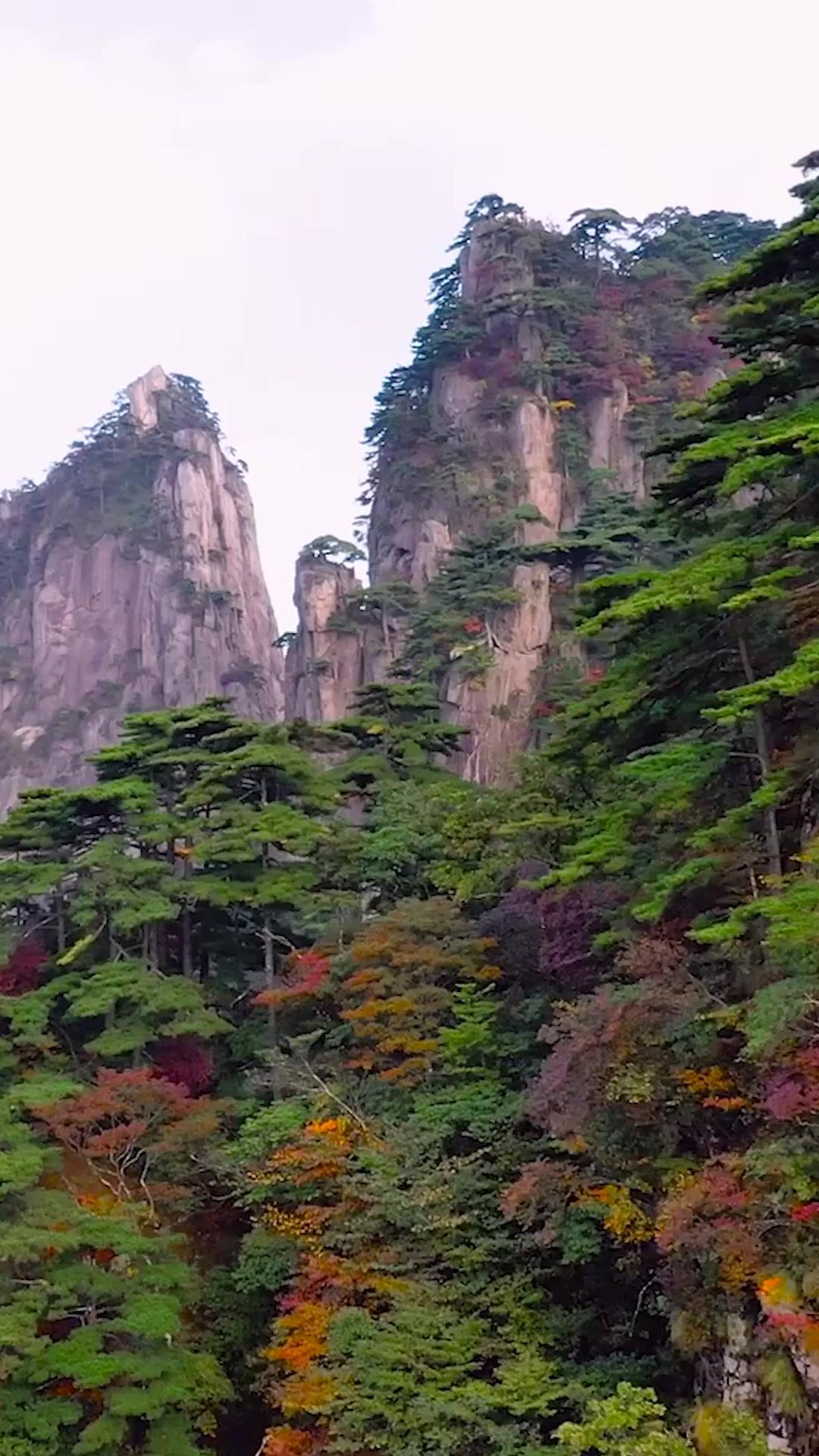 Episode 22