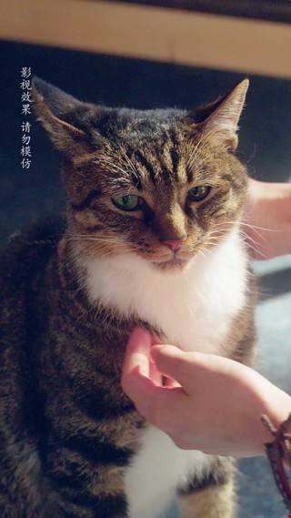 話 5