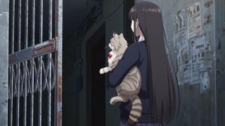Episode 11