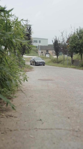 حلقة 17