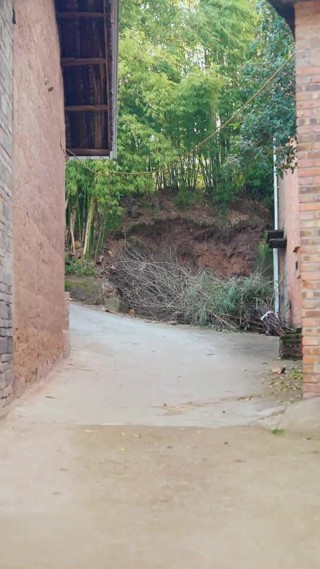 Episódio 12