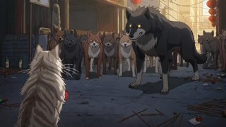 Episode 19