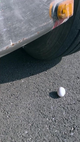 حلقة 13