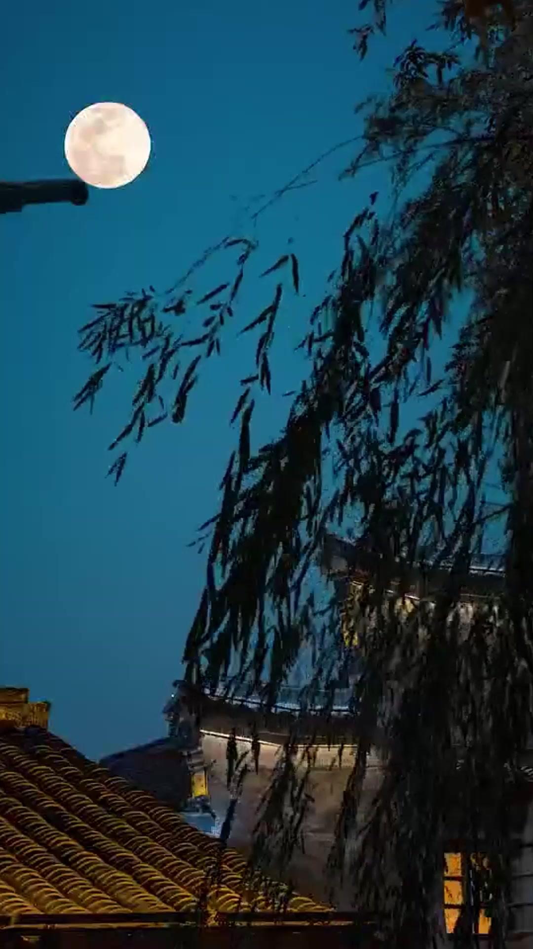 ตอนที่ 11