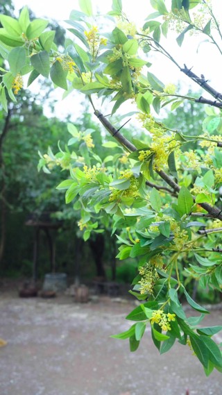 Tập 10