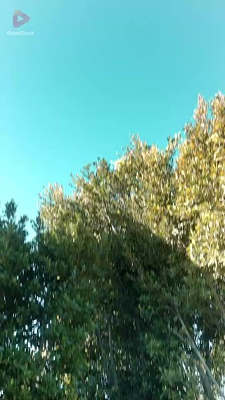 Bölüm 1