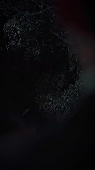 Episode 24