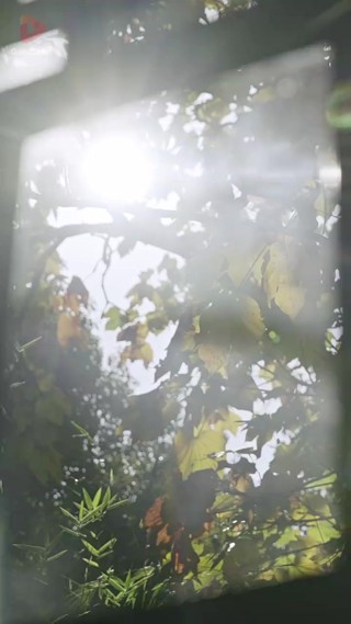 Épisode 7