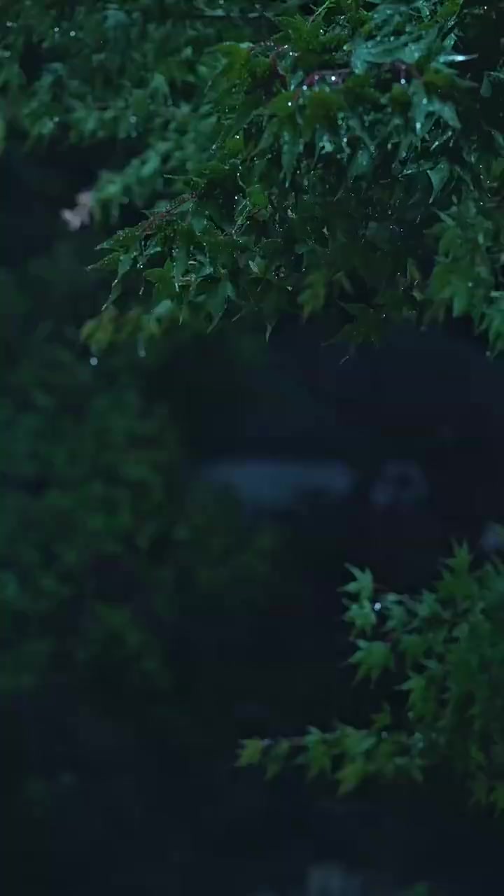 話 1