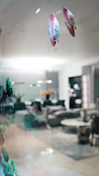 Episodio 11