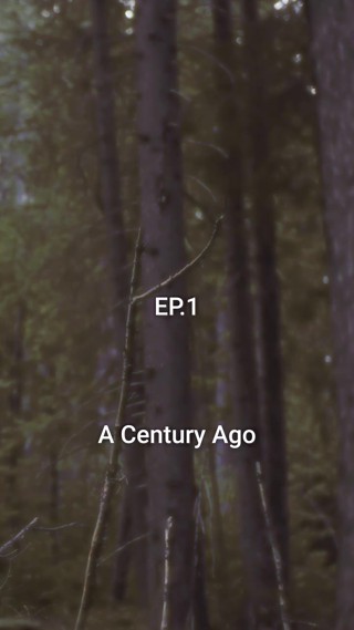 Épisode 1