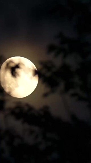 화 13