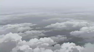 Episode 29