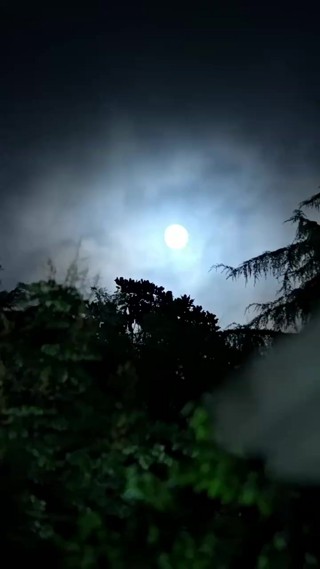 ตอนที่ 20