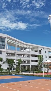حلقة 12
