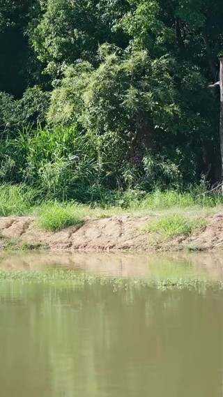 Episódio 21