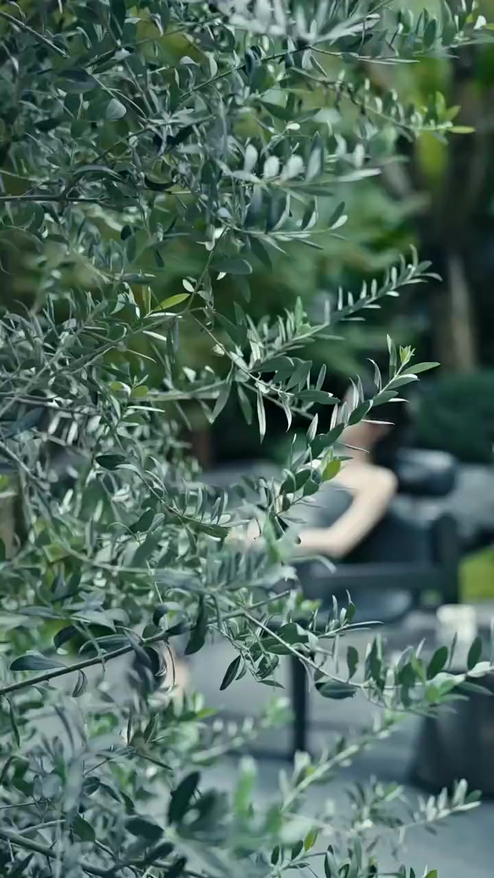 Épisode 20