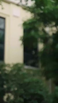 Épisode 27