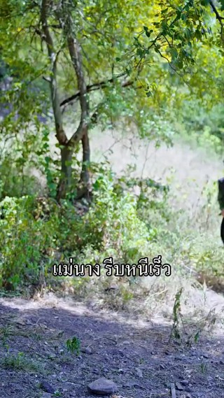 ตอนที่ 9