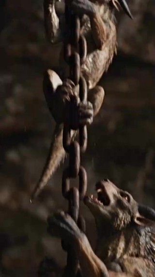 Episode 20