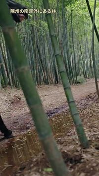 ตอนที่ 13