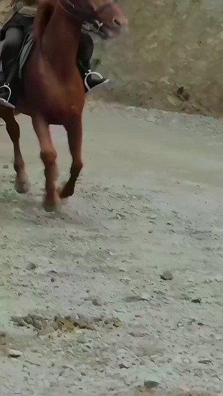 화 3