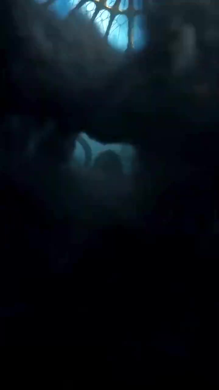 Episode 30