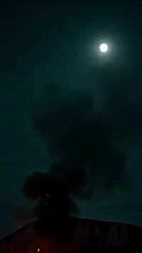 Episode 29
