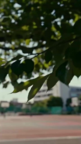 話 29