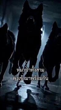 ตอนที่ 25