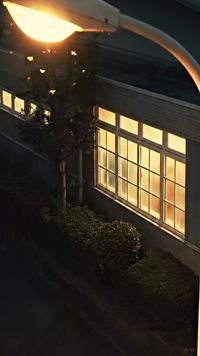 Episode 21