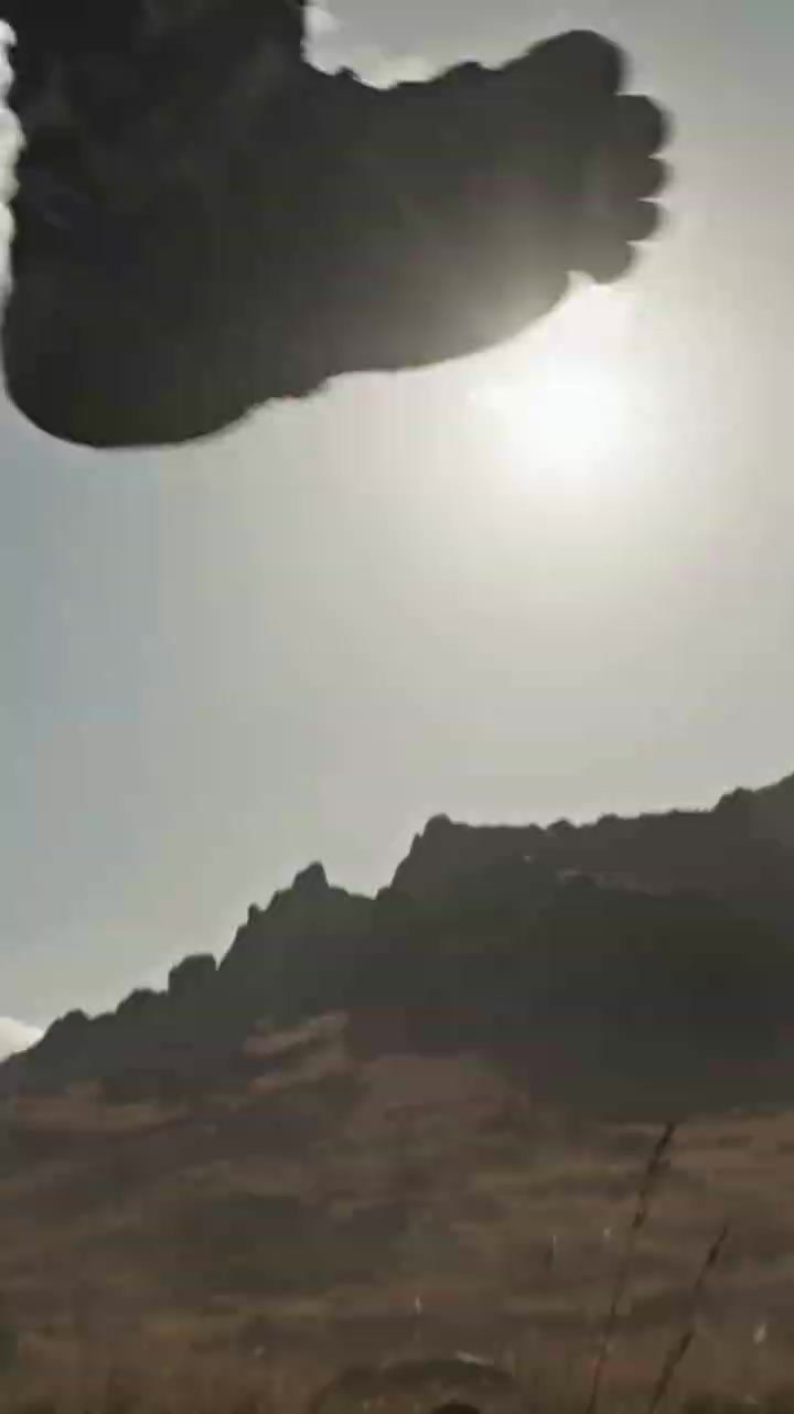 Episode 22